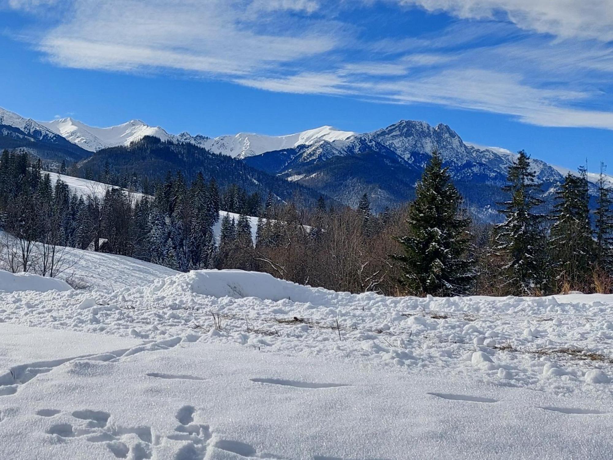 Tatrzanska Polana - Mountain View, Free Parking & Wifi Apartment Zakopane Exterior photo